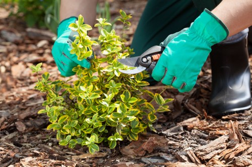 Inspector reviewing a garden during complaint investigation