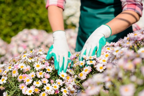 Inspector assessing a terrace garden for a no-obligation quote